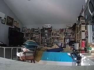 โมเดลนี้กำลังถ่ายทอดสดอยู่. voyeurcam-bridgetleewalters-02