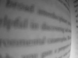 voyeurcam-bridgetleewalters-02