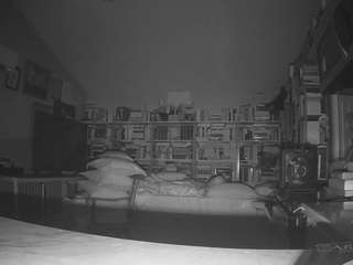 voyeurcam-bridgetleewalters-02