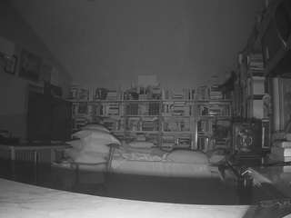 voyeurcam-bridgetleewalters-02