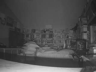 voyeurcam-bridgetleewalters-02