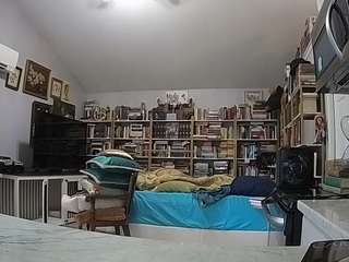 voyeurcam-bridgetleewalters-02