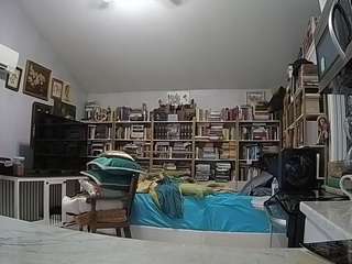 voyeurcam-bridgetleewalters-02