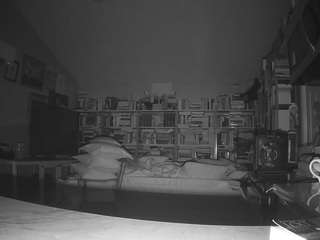 voyeurcam-bridgetleewalters-02 webcam