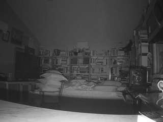 voyeurcam-bridgetleewalters-02