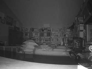 voyeurcam-bridgetleewalters-02