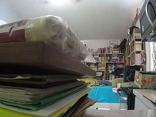 voyeurcam-bridgetleewalters-02