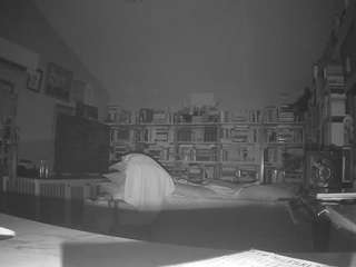 voyeurcam-bridge... Live Webcam on CamSoda