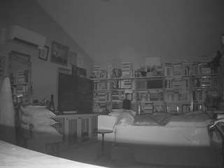 voyeurcam-bridgetleewalters-02