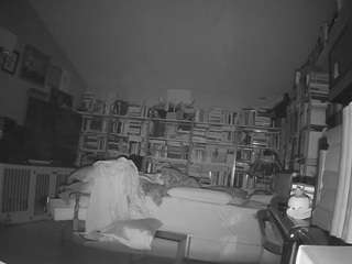 voyeurcam bridgetleewalters 02 live webcam show