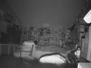 voyeurcam bridgetleewalters 02 live webcam show