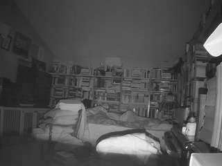 voyeurcam-bridgetleewalters-02