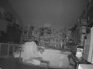 voyeurcam-bridgetleewalters-02