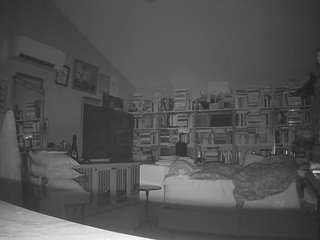 voyeurcam-bridgetleewalters-02