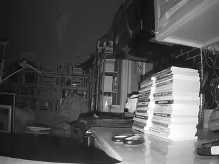 voyeurcam bridgetleewalters 02's Live Sex Cam Show