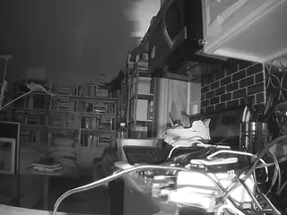 voyeurcam bridgetleewalters 02's Live Sex Cam Show