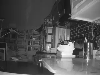 voyeurcam bridgetleewalters 02's Live Sex Cam Show