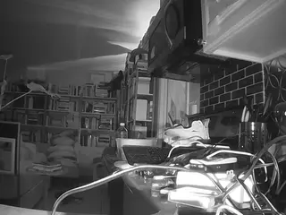 voyeurcam bridgetleewalters 02's Live Sex Cam Show