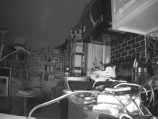 voyeurcam bridgetleewalters 02's Live Sex Cam Show