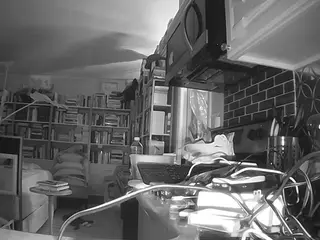 voyeurcam bridgetleewalters 02's Live Sex Cam Show