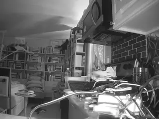 voyeurcam bridgetleewalters 02's Live Sex Cam Show