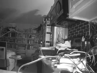 voyeurcam bridgetleewalters 02's Live Sex Cam Show