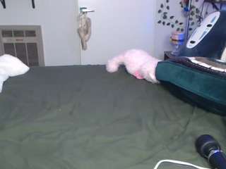 marshmallow-prin... Live Webcam on CamSoda