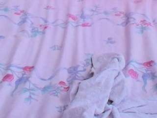 sashakorny99 webcam