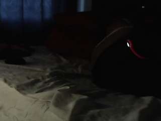 sashakorny99