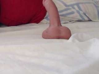 sashakorny99