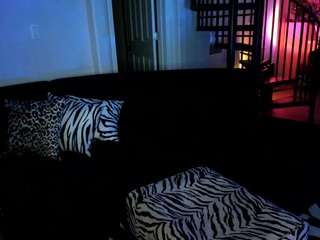 Eleven PM live cam