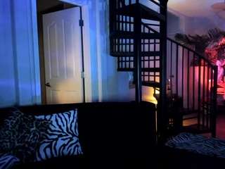 Eleven PM live cam