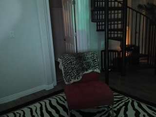 Eleven PM live cam