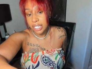 Eleven PM live cam preview