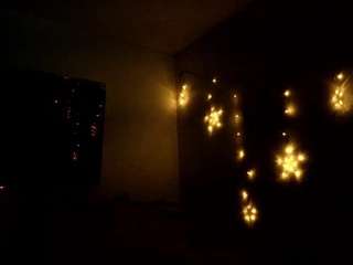 amapolaunicorn