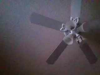 KandiRose's Live Sex Cam Show