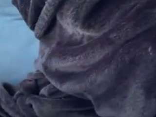 le modèle monica-leigh est en webcam porno dans un show sur le site camsoda, il possède les tags suivants: abs,sex,lips,lovense,lush,mature,ohmibod,queen,roleplay,sex toys,green eyes,sexy,shaved,shaved-pussy,spit,squirt,squirter,tattoos,toys,huge tits