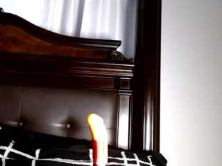 Live webcam model eve2020 on Soda Cams