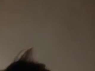 baycali4