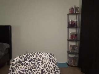 t1ger webcam