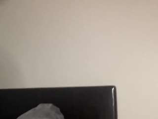 T1ger