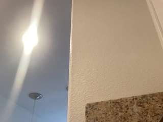 t1ger - Live Cam