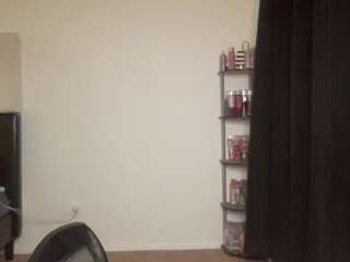 t1ger webcam