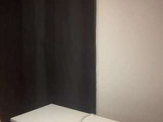 t1ger webcam