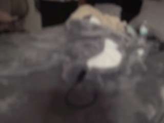 t1ger Sex Cam Show