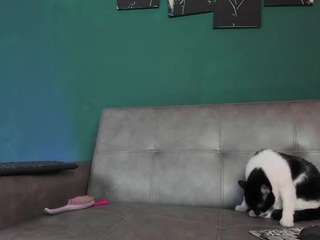 Live webcam model karolsweet on Soda Cams