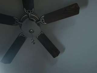 asiastacxxx webcam