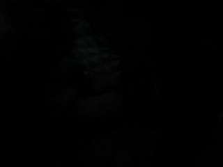 sweet-tooth from CamSoda is Freechat