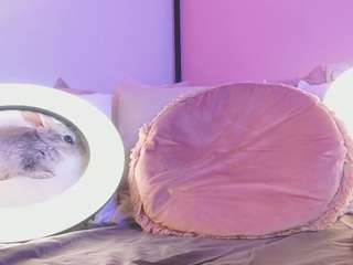 kirstendanston Live Webcam on CamSoda
