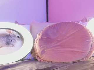 kirstendanston Live Webcam on CamSoda